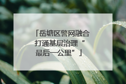 岳塘区警网融合 打通基层治理“最后一公里”