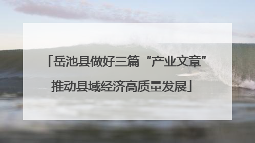岳池县做好三篇“产业文章” 推动县域经济高质量发展
