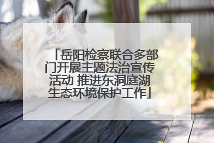 岳阳检察联合多部门开展主题法治宣传活动 推进东洞庭湖生态环境保护工作