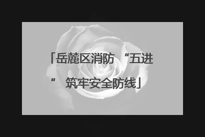 岳麓区消防 “五进” 筑牢安全防线