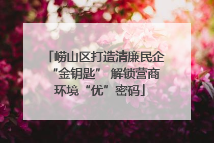 崂山区打造清廉民企“金钥匙” 解锁营商环境“优”密码