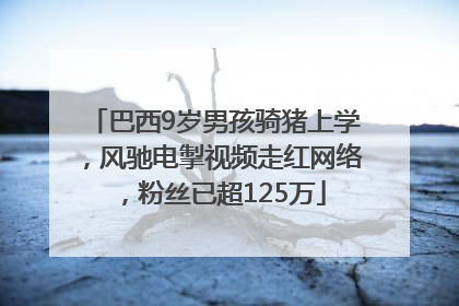 巴西9岁男孩骑猪上学，风驰电掣视频走红网络，粉丝已超125万