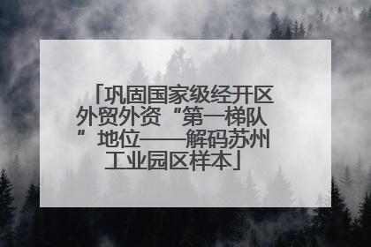 巩固国家级经开区外贸外资“第一梯队”地位——解码苏州工业园区样本