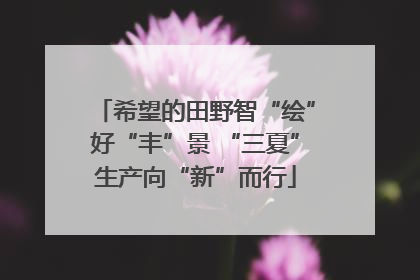 希望的田野智“绘”好“丰”景 “三夏”生产向“新”而行