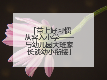 带上好习惯 从容入小学——与幼儿园大班家长谈幼小衔接