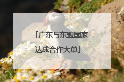 广东与东盟国家达成合作大单