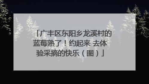 广丰区东阳乡龙溪村的蓝莓熟了！约起来 去体验采摘的快乐（图）