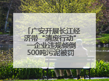 广安开展长江经济带“清废行动” 一企业违规倾倒500吨污泥被罚8万元