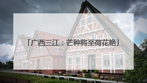 广西三江：芒种将至荷花艳