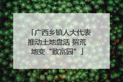 广西乡镇人大代表推动土地盘活 撂荒地变“致富园”