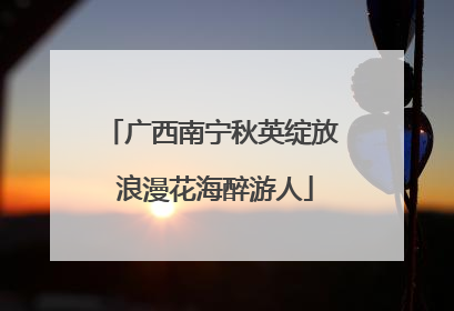 广西南宁秋英绽放 浪漫花海醉游人
