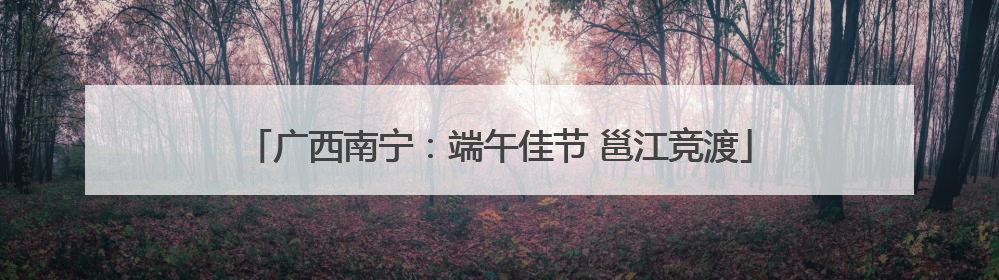 广西南宁：端午佳节 邕江竞渡