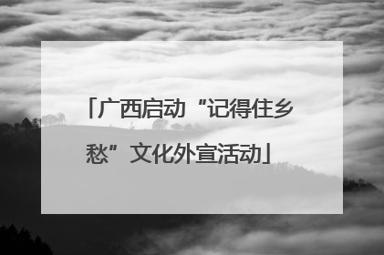 广西启动“记得住乡愁”文化外宣活动