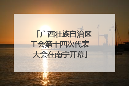 广西壮族自治区工会第十四次代表大会在南宁开幕