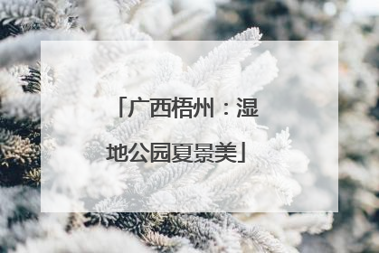 广西梧州：湿地公园夏景美