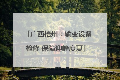 广西梧州：输变设备检修 保障迎峰度夏