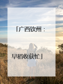 广西钦州：早稻收获忙