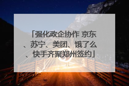 强化政企协作 京东、苏宁、美团、饿了么、快手齐聚郑州签约