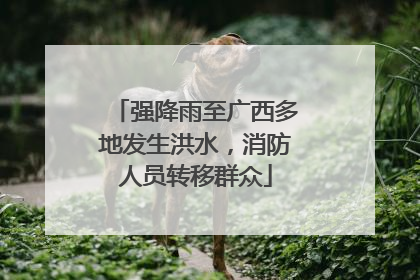 强降雨至广西多地发生洪水，消防人员转移群众