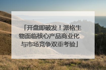 开盘即破发！派格生物面临核心产品商业化与市场竞争双重考验
