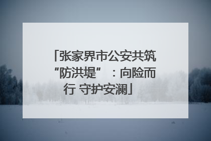 张家界市公安共筑“防洪堤”：向险而行 守护安澜