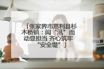 张家界市慈利县杉木桥镇：闻“汛”而动显担当 齐心筑牢“安全堤”