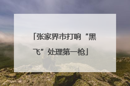 张家界市打响“黑飞”处理第一枪