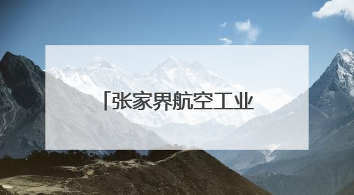 张家界航空工业职业技术学院举办2025年春季大型招聘会
