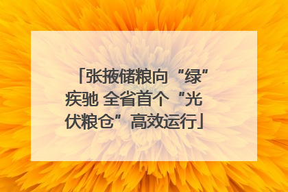 张掖储粮向“绿”疾驰 全省首个“光伏粮仓”高效运行