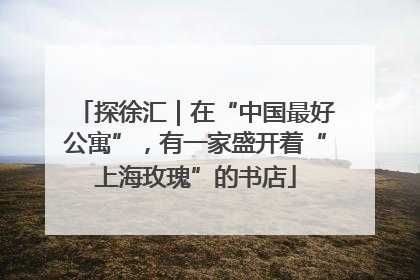 探徐汇｜在“中国最好公寓”，有一家盛开着“上海玫瑰”的书店