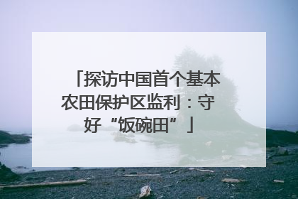 探访中国首个基本农田保护区监利：守好“饭碗田”