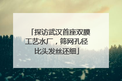 探访武汉首座双膜工艺水厂，筛网孔径比头发丝还细
