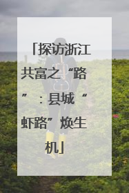 探访浙江共富之“路”：县城“虾路”焕生机