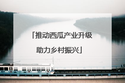 推动西瓜产业升级 助力乡村振兴