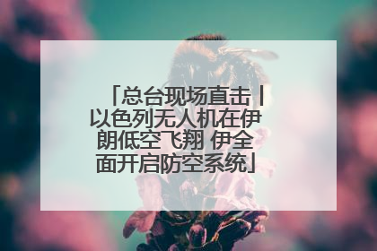 总台现场直击丨以色列无人机在伊朗低空飞翔 伊全面开启防空系统