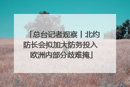 总台记者观察丨北约防长会拟加大防务投入 欧洲内部分歧难掩