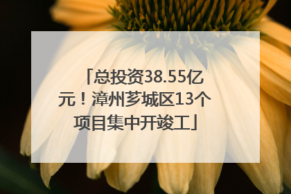 总投资38.55亿元！漳州芗城区13个项目集中开竣工