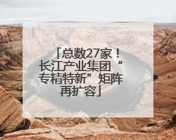 总数27家！长江产业集团“专精特新”矩阵再扩容