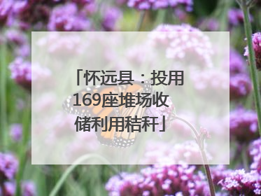 怀远县：投用169座堆场收储利用秸秆