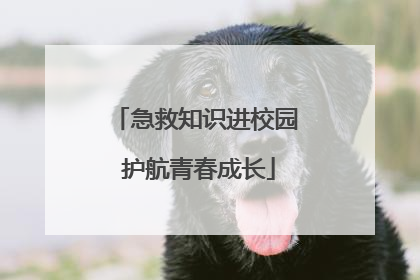 急救知识进校园 护航青春成长