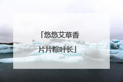 悠悠艾草香 片片粽叶长