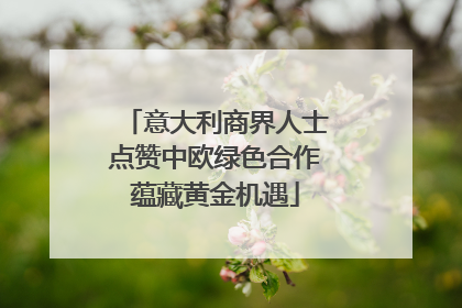 意大利商界人士点赞中欧绿色合作蕴藏黄金机遇