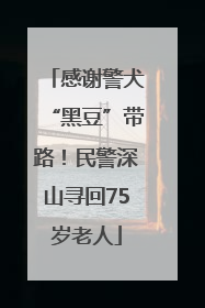 感谢警犬“黑豆”带路！民警深山寻回75岁老人