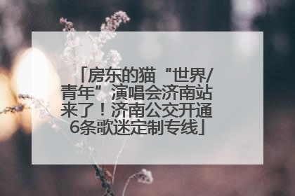 房东的猫“世界/青年”演唱会济南站来了！济南公交开通6条歌迷定制专线
