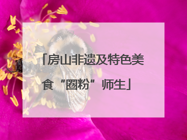房山非遗及特色美食“圈粉”师生