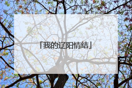我的辽阳情结