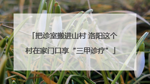 把诊室搬进山村 洛阳这个村在家门口享“三甲诊疗”