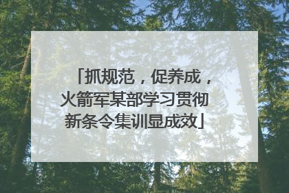 抓规范，促养成，火箭军某部学习贯彻新条令集训显成效