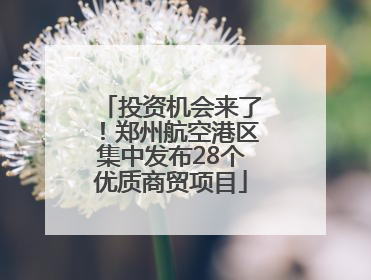 投资机会来了！郑州航空港区集中发布28个优质商贸项目