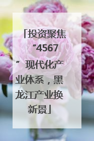 投资聚焦“4567”现代化产业体系，黑龙江产业换新景